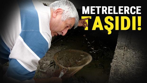 Durumu fark edince hemen seferber oldu! Metrelerce taşıdı