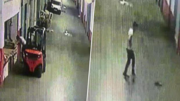 Bayrampaşa'da vahşet! Yavru kediyi tekmeleyerek öldürdü