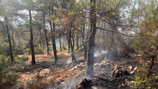 Muğla'da 13 noktada orman yangını! Tamamı kontrol altına alındı