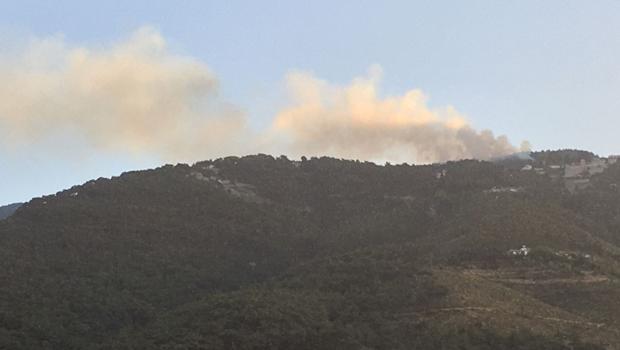 Hatay'da orman yangını! Havadan ve karadan müdahale ediliyor