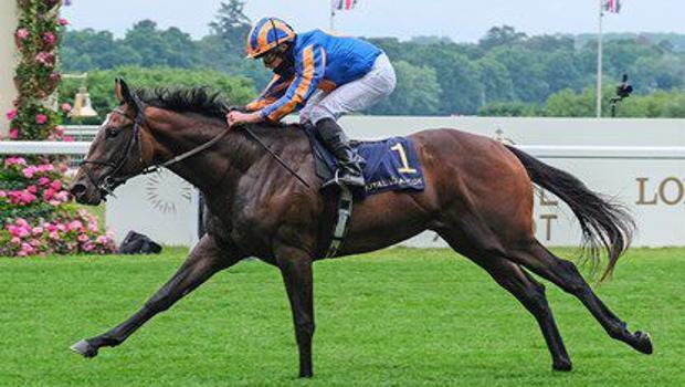 TJK’dan iki flaş transfer! Yıldızlar geliyor…