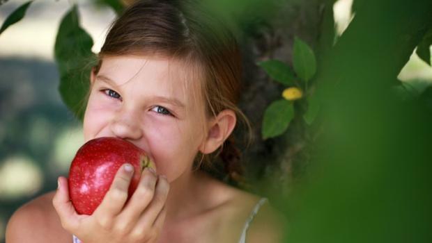 Kabuğundan bile içine bulaşıyorsa, nasıl korkmadan meyve yiyeceğiz? 10 SORU 10 YANIT