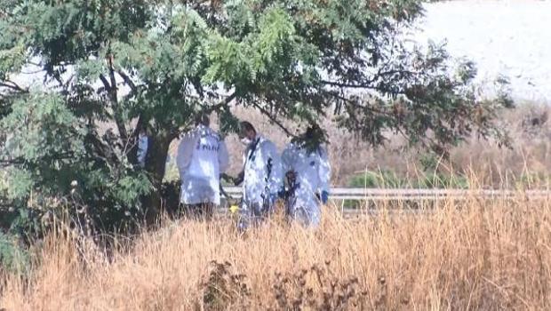 Meyve toplamak için gittiler, dehşete düştüler