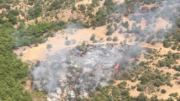 Son dakika... İzmir'in Dikili ilçesinde orman yangını