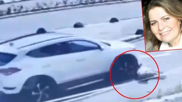 Aracıyla köpeği ezerek öldürmüştü! Doç. Dr. Birsen Ocaklı beraat etti