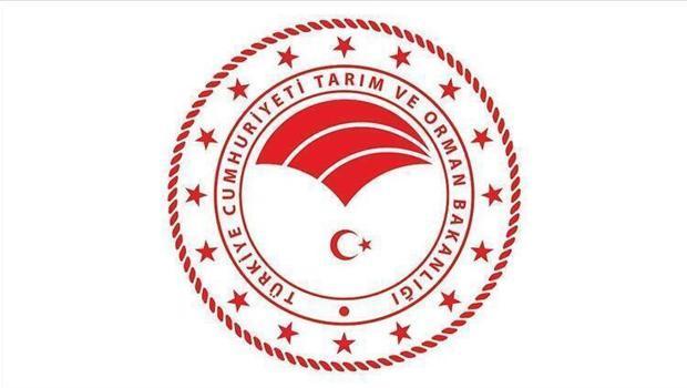 Giriş takı yaptırılacak