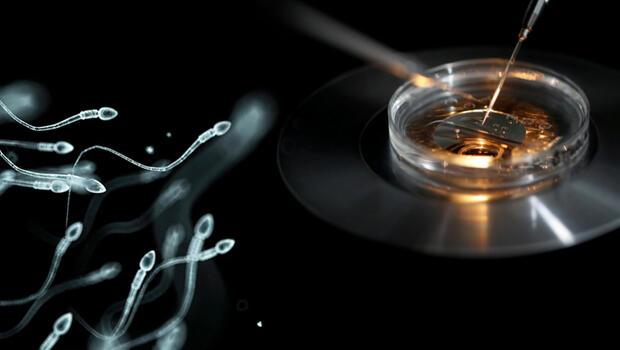 Büyük sperm soygunu: Kliniğe giden herkesin bilmediği çocukları olabilir