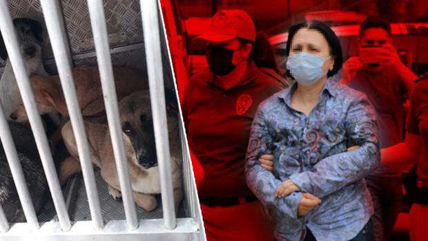 Evinin bahçesinde köpek ölüleri bulunmuştu... Flaş karar!