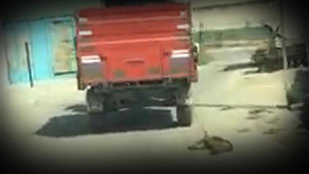 Traktörün römorkuna bağladığı köpeği metrelerce sürükledi