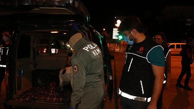 Denizli'de 'Narko Alan' uygulaması: Çok sayıda gözaltı var