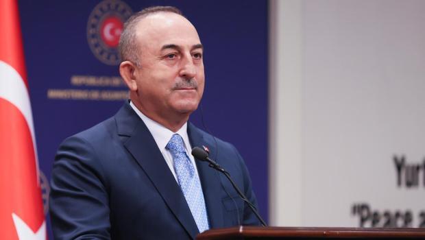Çavuşoğlu, Sırbistan Ulusal Meclis Başkanı Dacic ile görüştü