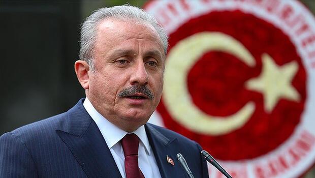 TBMM Başkanı Şentop'tan 'siyasi cinayet' iddialarıyla ilgili açıklama: Türkiye'de böyle bir ortama müsaade edilmez