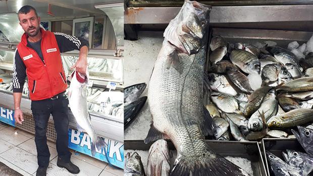 Çanakkale Boğazı'nda 7 kiloluk levrek yakaladı