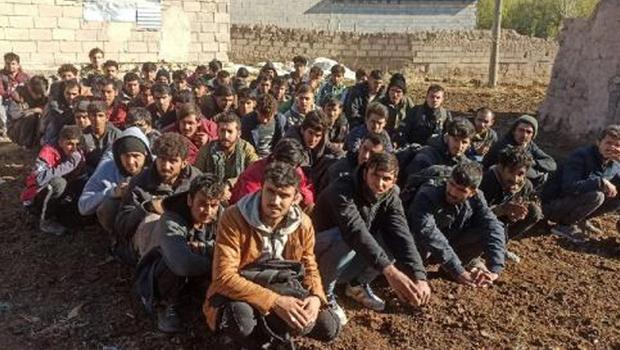 Van'da kaçak göçmen operasyonu