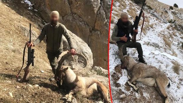 Yaban keçisi avına para cezası