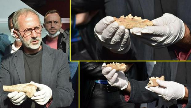 Antik yerleşimde tarihi buluş! 'Bir zamanlar İzmir'de aslan da varmış'