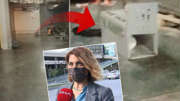 Hayvanseverlerden 'kedi kapanı' tepkisi! O kapanlar kaldırıldı