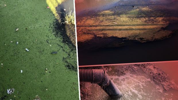 Son dakika... Yeşilırmak'ta korkutan görüntü! Zehir saçıyor: Çok tehlikeli