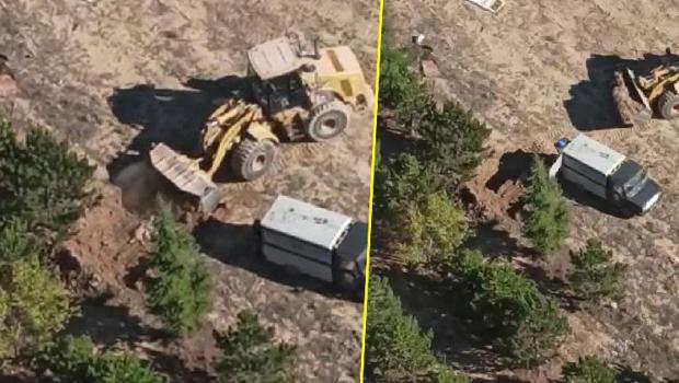 Sokak köpeklerinin uyuşturucu iğneyle vurulup gömüldüğü iddiası! Soruşturma başlatıldı