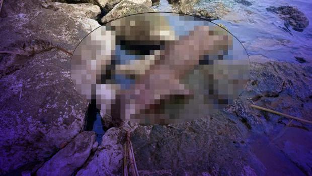 Son dakika... Fethiye'de tepki çeken olay! Su samuru tüfekle öldürüldü... 'Sen nasıl bir varlıksın ki bunu yapıyorsun'