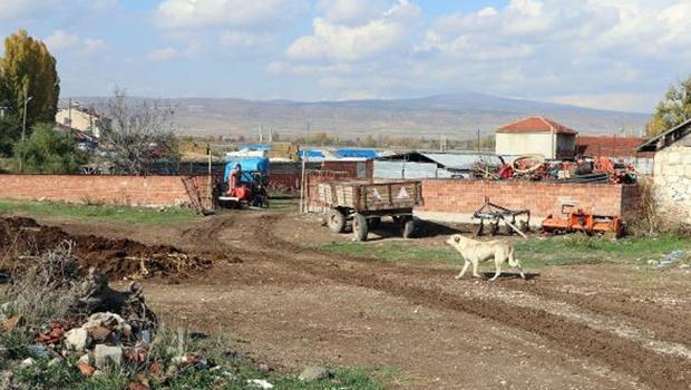 Eskişehir'de kuduz karantinası! Hayvan giriş çıkışı yasaklandı