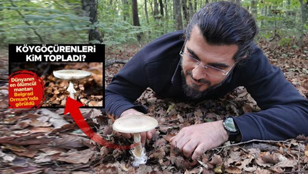 'Onları ben topladım...' Kaybolan zehirli mantarların ardından 25 yıllık acı bir hikaye çıktı!