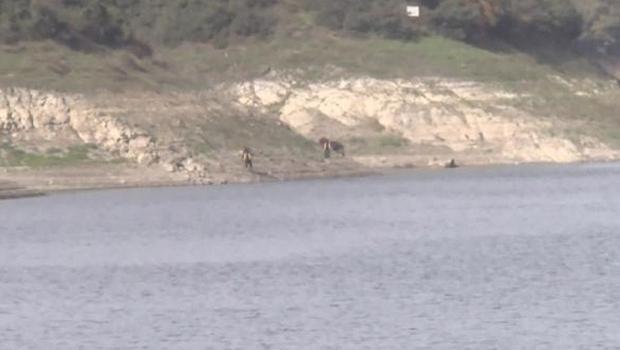 Barajdaki suya gömülü araç harekete geçirdi!