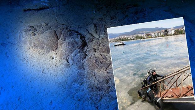 Müsilajdan sonra yeni tehlike: Bu çoğalma hayra alamet değil