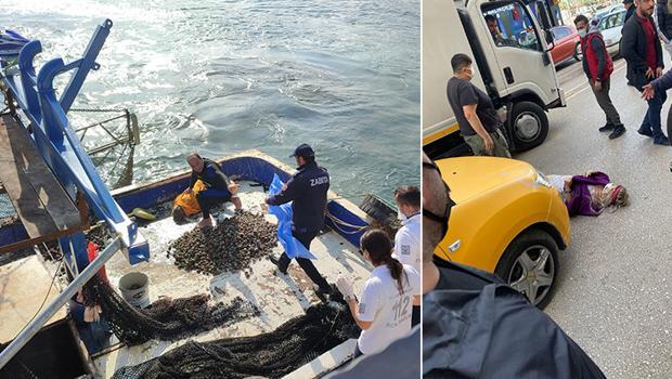 Ordu'da sosyal medya fenomenliği için yola yatıp, denize atlamış