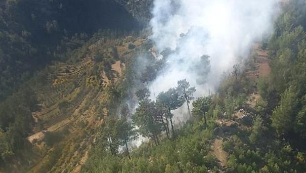 Son dakika... Manavgat'ta yerleşim yerlerine 500 metre uzaklıkta orman yangını