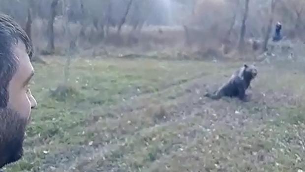 Kış uykusuna yatmayan bozayıyı uyuşturup, yerleşim alanından uzağa bıraktılar