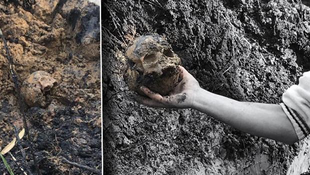 Nazili Meslek Yüksek Okulu bahçesinde kafatası ve kemik parçaları bulundu