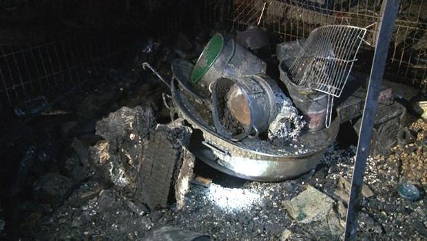 Hayvan barınağında kundaklama şüphesi! 'Beni yakmadılar, canlarımı yakmaya çalıştılar'