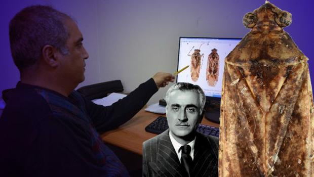 Mardin'de yeni böcek türü keşfedildi! Eski Bakan'ın adını verdiler: İşte nedeni