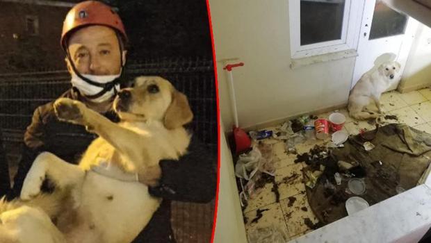 Balkonda bırakılınca aç ve susuz kaldı... İtfaiyeciler kurtardı