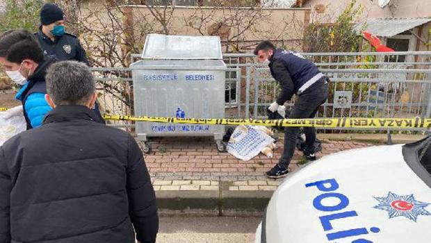 Kocaeli'de isyan ettiren görüntü! Ölü kedi ve köpekler bulundu