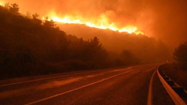 Menderes'teki orman yangını sanığına 7 yıl hapis istemi