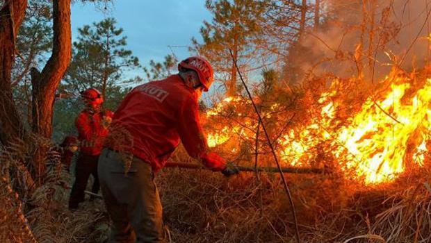 Karadeniz'de selden sonra yangın tehlikesi