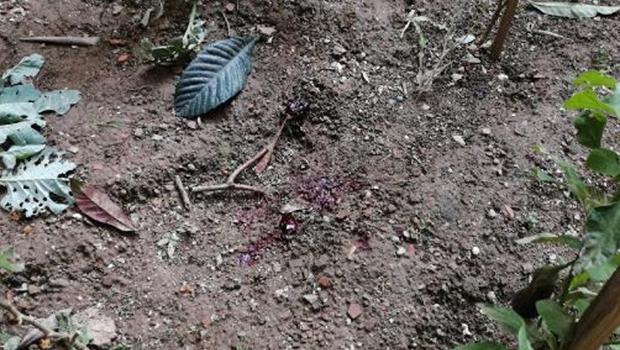 Apartmanın bahçesinde yeni doğmuş bebek bulunmuştu! Mahalle sakinleri konuştu