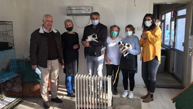 Şenol Güneş'ten hayvanseverlere destek