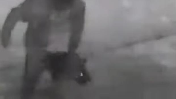 Daha önce bir kediyi öldürmüştü... Şimdi de köpeğe işkenceden serbest!