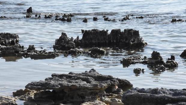 Van Gölü'nde su çekildi, mikrobiyalitler ortaya çıktı! 'Bu kadarını ilk defa görüyorum'