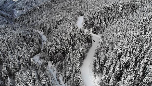 Yedigöller yolu ulaşıma kapatıldı