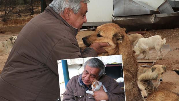 Gaziantep'te yaralı hayvanlara adanmış bir ömür