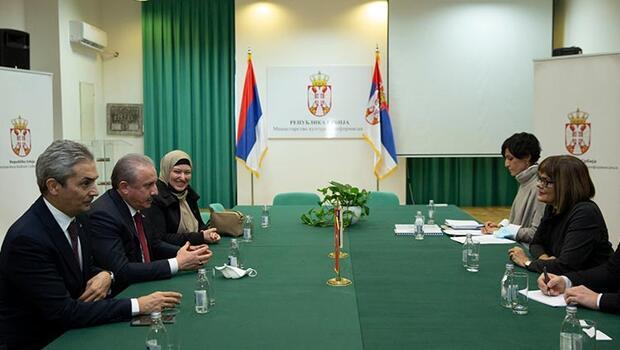 Şentop, Sırbistan Kültür ve Enformasyon Bakanı Gojkovic ile görüştü
