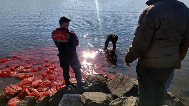 İzmir’de 2 ton canlı beyaz midye ele geçirildi