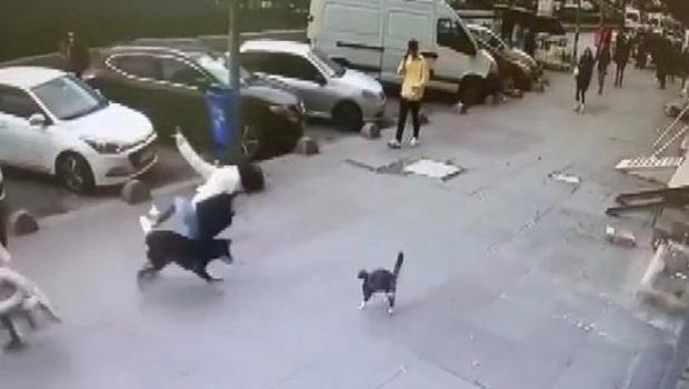 Sultangazi'de ilginç görüntü: Kediden kaçan köpek çarptığı kadını düşürdü
