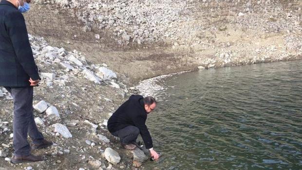 Osmaniye'de balık ölümlerine inceleme