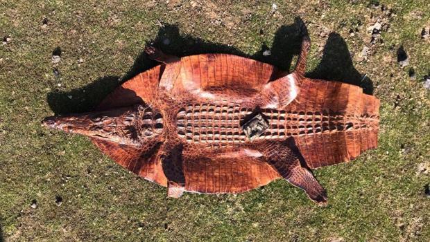 Suçüstü yakalandılar! 2 milyon dolara satacaklardı