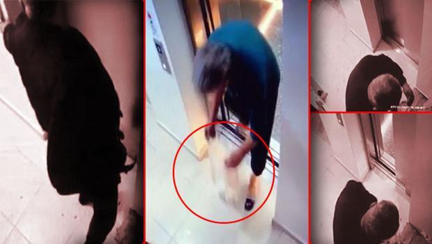 Komşu kâbusu! Gerçeği ortaya çıkaran görüntüler şok yaşattı